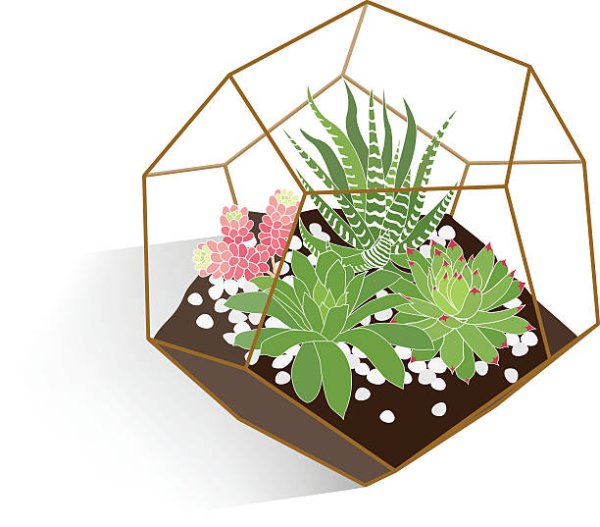 Флорариум вектор