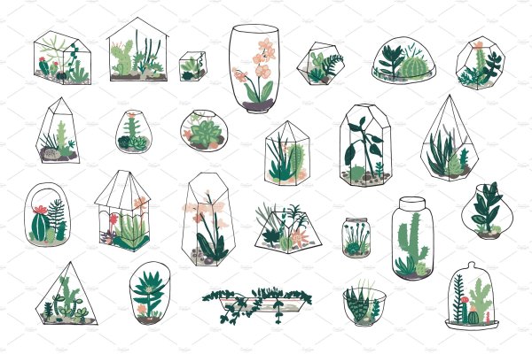 Флорариум эскизы