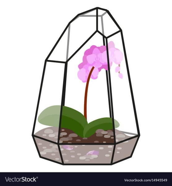 Рисунок флорариума