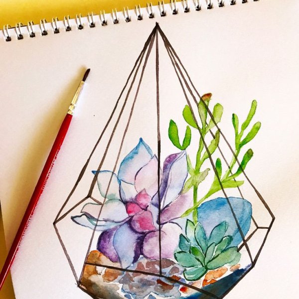 Эскиз флорариума