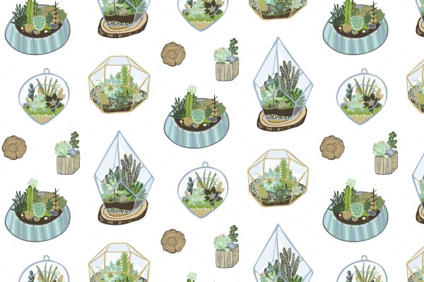 Флорариум кактусы вектор