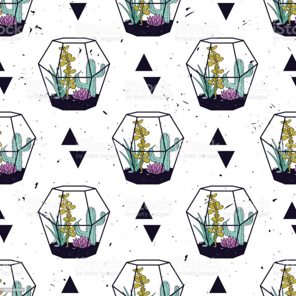 Флорариум кактусы вектор