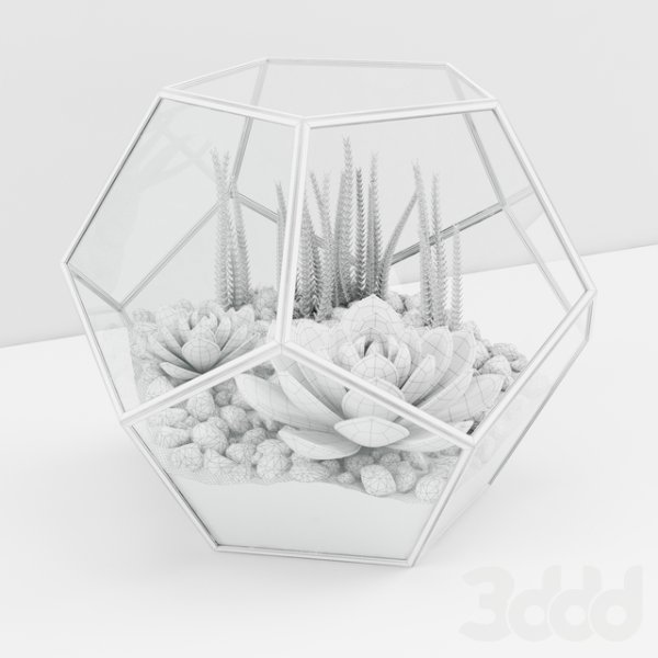 Рисунок флорариума