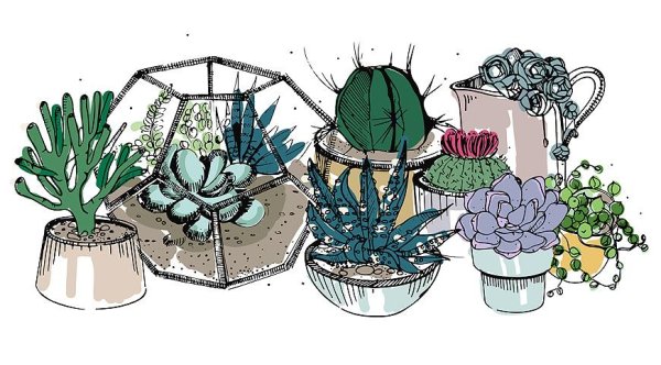 Флорариум кактусы вектор