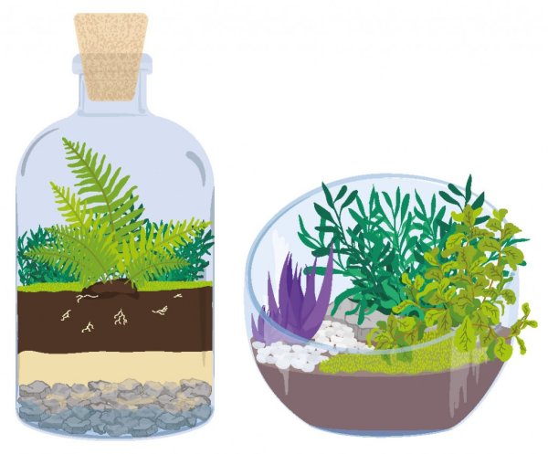 Нарисовать террариум