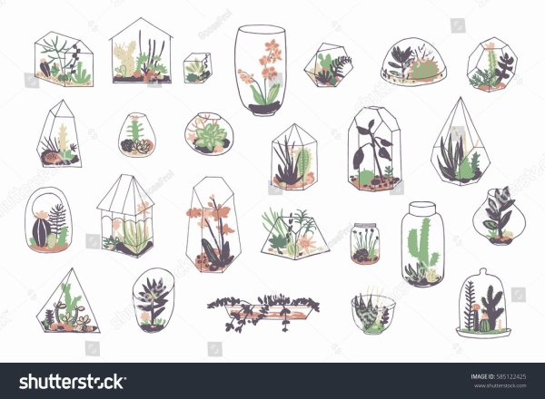 Флорариум акварель