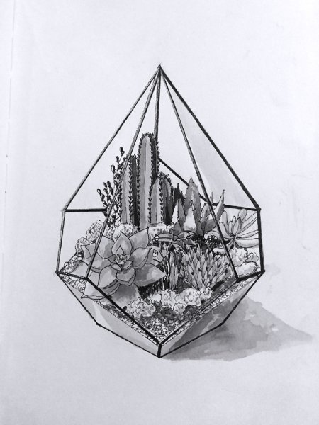 Флорариум эскизы