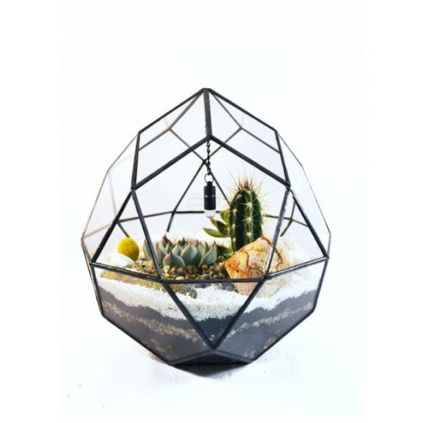 Флорариум Тессеракт