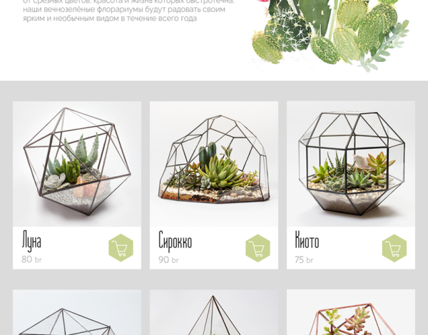 Развертки флорариумов