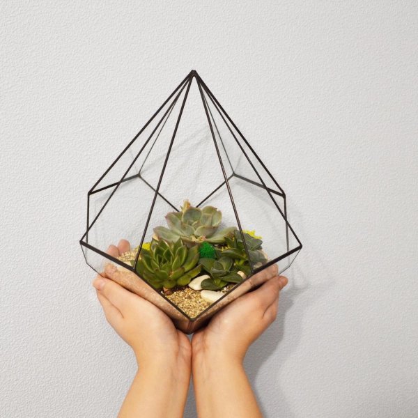 Пинтерест флорариум