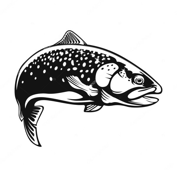 Форель векторный