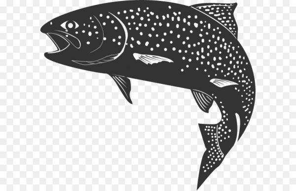 Форель силуэт