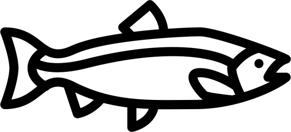 Рыба вектор лосось