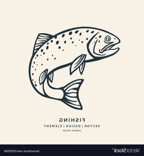 Форель Векторная Графика