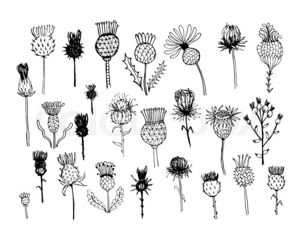 Стилизация репейника