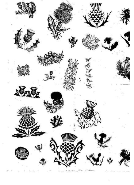 Чертополох стилизация