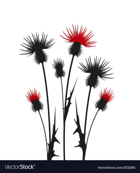 Силуэты колючих растений