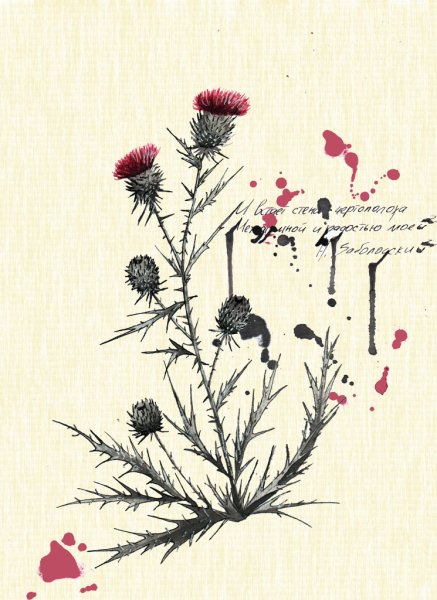 Чертополох растения стилизация