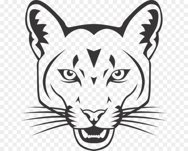 Нарисованная морда пантеры