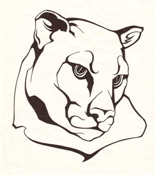 Пума арт лейбл