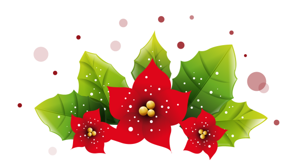 Рождественский цветок вектор