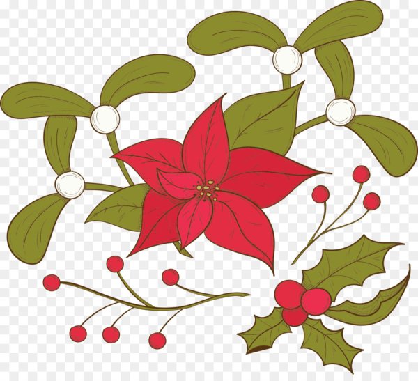 Цветы пуансеттии вектор