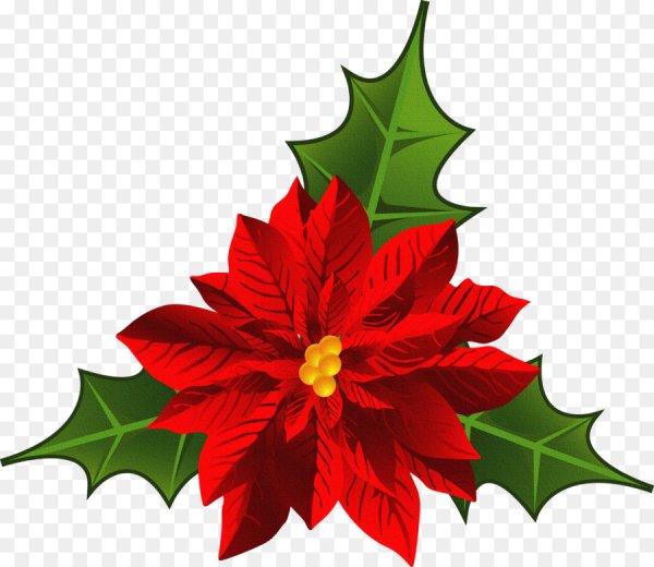 Флор де Навидад