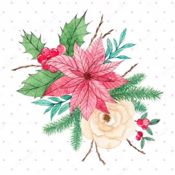 Пуансеттия Новогодняя акварель