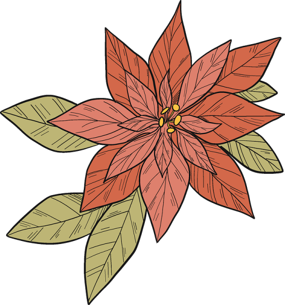 Пуансеттия стилизация