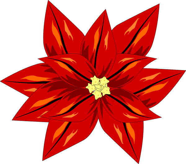Пуансеттия красная вектор
