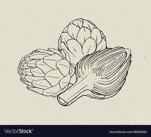 Артишок трафарет