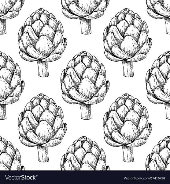 Артишок фон вектор