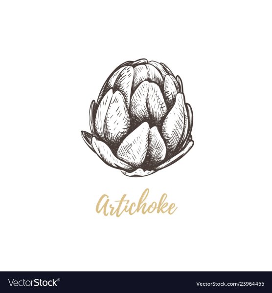 Векторная Графика артишок