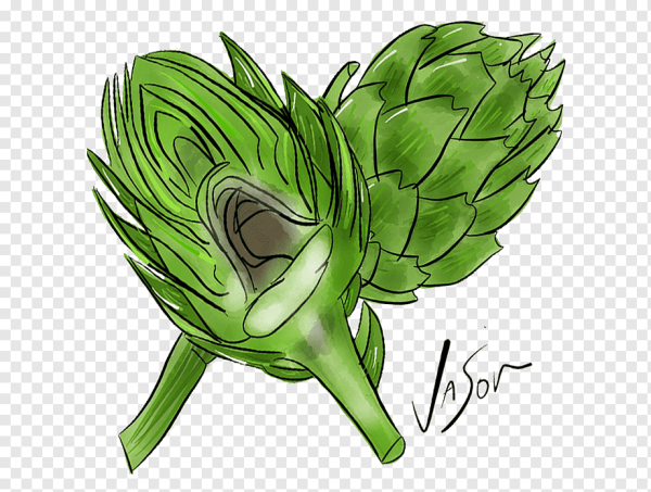Артишок со стеблем