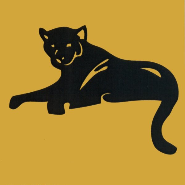 Силуэт пантеры