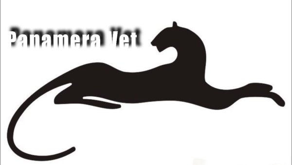 Силуэт пантеры