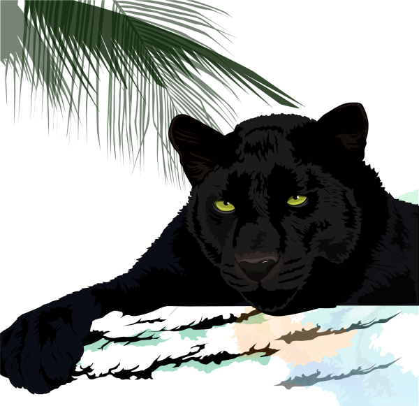 Черная пантера на белом фоне