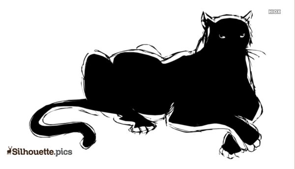 Пантера лежит