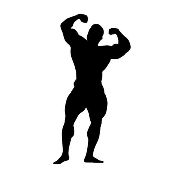 Силуэты бодибилдеров