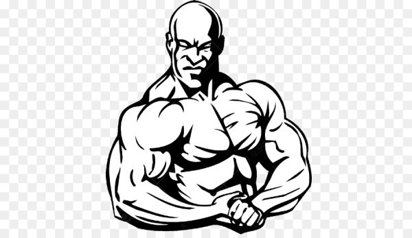Культурист рисунок