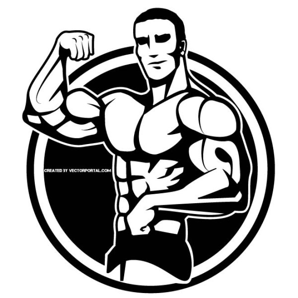 Рисунок бодибилдера