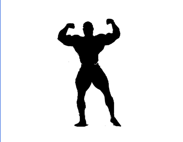 Силуэты бодибилдеров