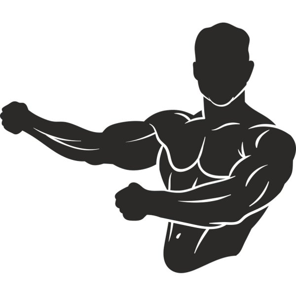 Силуэты бодибилдеров