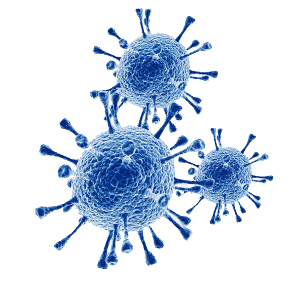 Вирус коронавирус