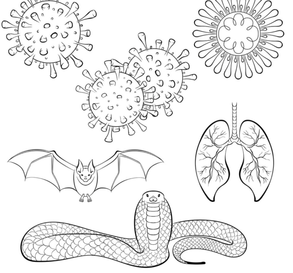 Line Art coronavirus