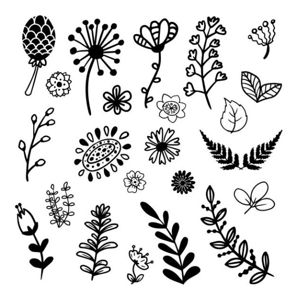 Орнамент растительность