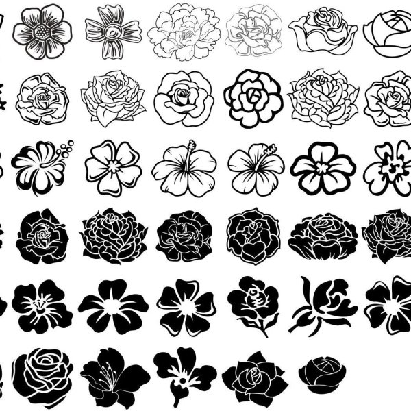 Мелкие цветы черно белые