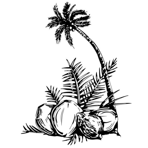 Пальмы тушью