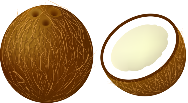 Кокос мультяшный