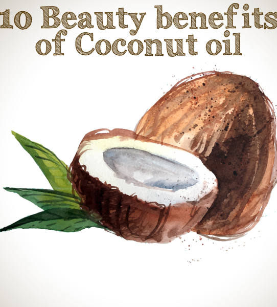 Кокос в живописи